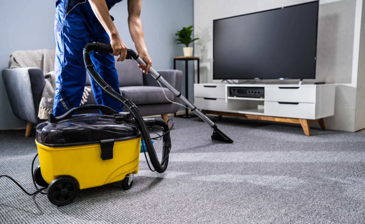 Extract Upholstery Cleaning Curlewis Contact Office